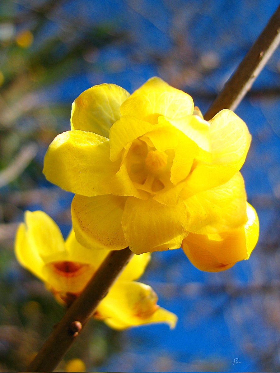 幸せの定義を見直す
-
あなたの幸せとは何ですか
肩書きやお金や一時の快楽ですか

人生の最後にその思い出を
振り返ったら幸せですか

沢山のガラクタを詰め込むより
必要なものだけにしませんか

格好つけて見栄を張るより
素のままの自分を生きませんか
-