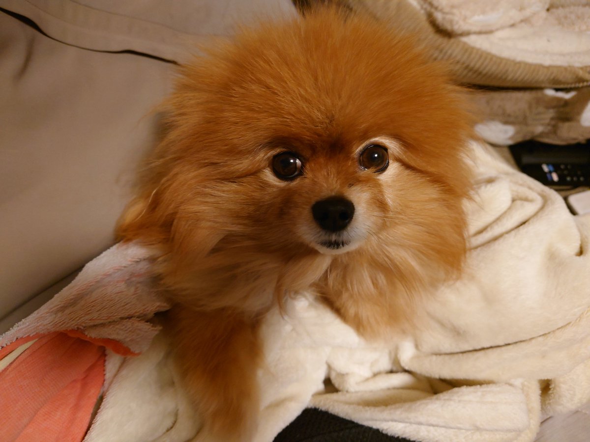 Codacoda2001M's tweet image. おはようございます☺️

本日は金曜日
今日は特に忙しくなりそうです
本来ならあと1日なのに垢乗っ取りの為にモヤモヤします😓
心当たりは駿河屋漏洩事件😓

まどどらは無料ガチャ終わりましたね
永久毎日無料ガチャなんてしたら人増えるかも😏

またこちらでもまたーり宜しくお願いします☺️