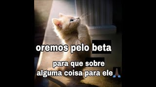 DeFi Remora tweet media