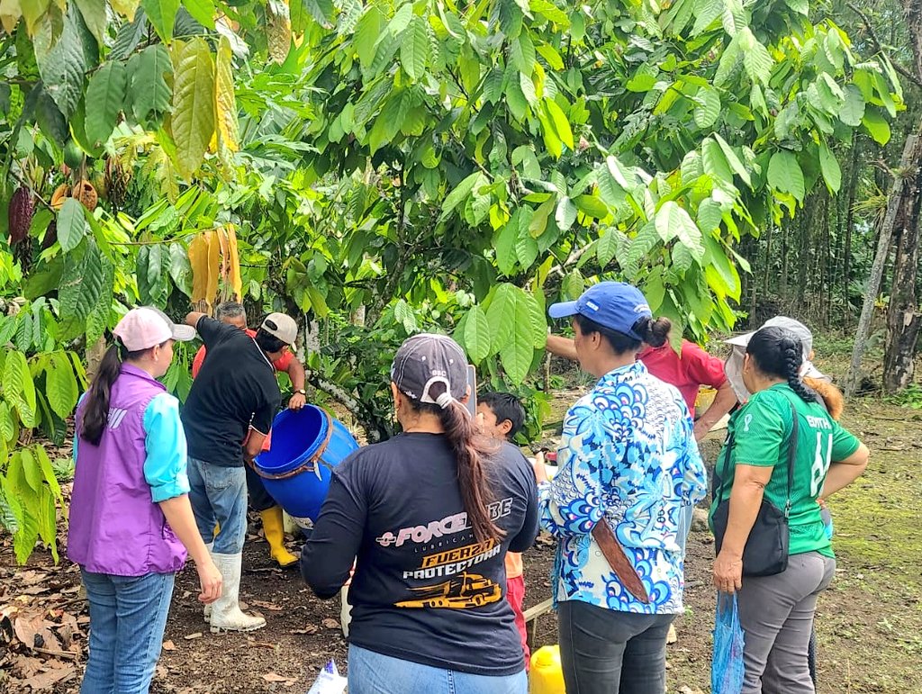 Agricultura_CZ4's tweet photo. #SantoDomingo | En el recinto  Nuevo Israel, se desarrolló un taller de elaboración de #Biol a base de estiércol de vaca y microorganismos, como una alternativa sostenible para el manejo de los desechos generados en la finca. 🌱🌿
#ElNuevoEcuador https://t.co/N4SQuTZ3JI