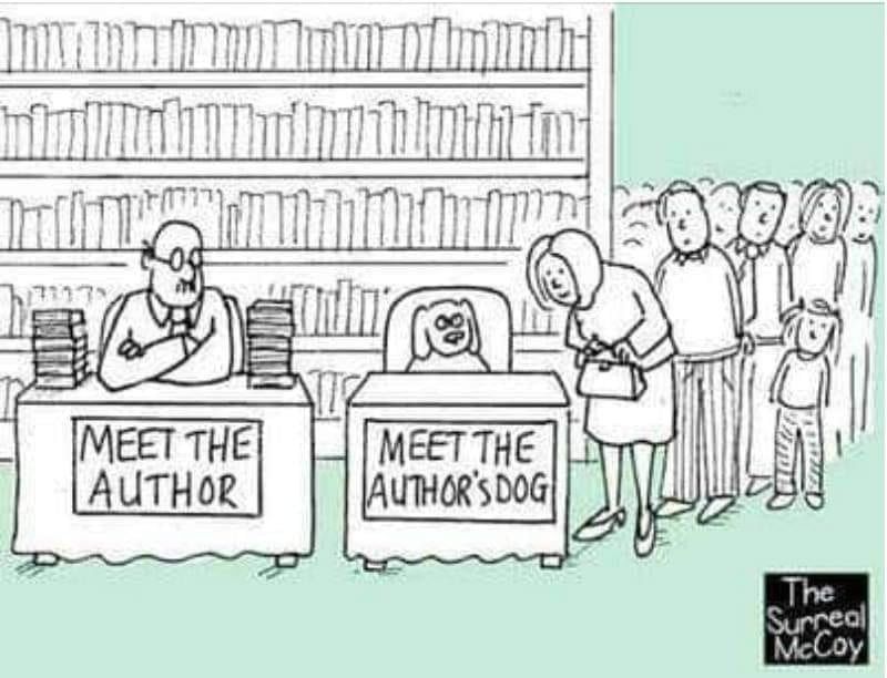 Rob Bignell, Editor tweet media