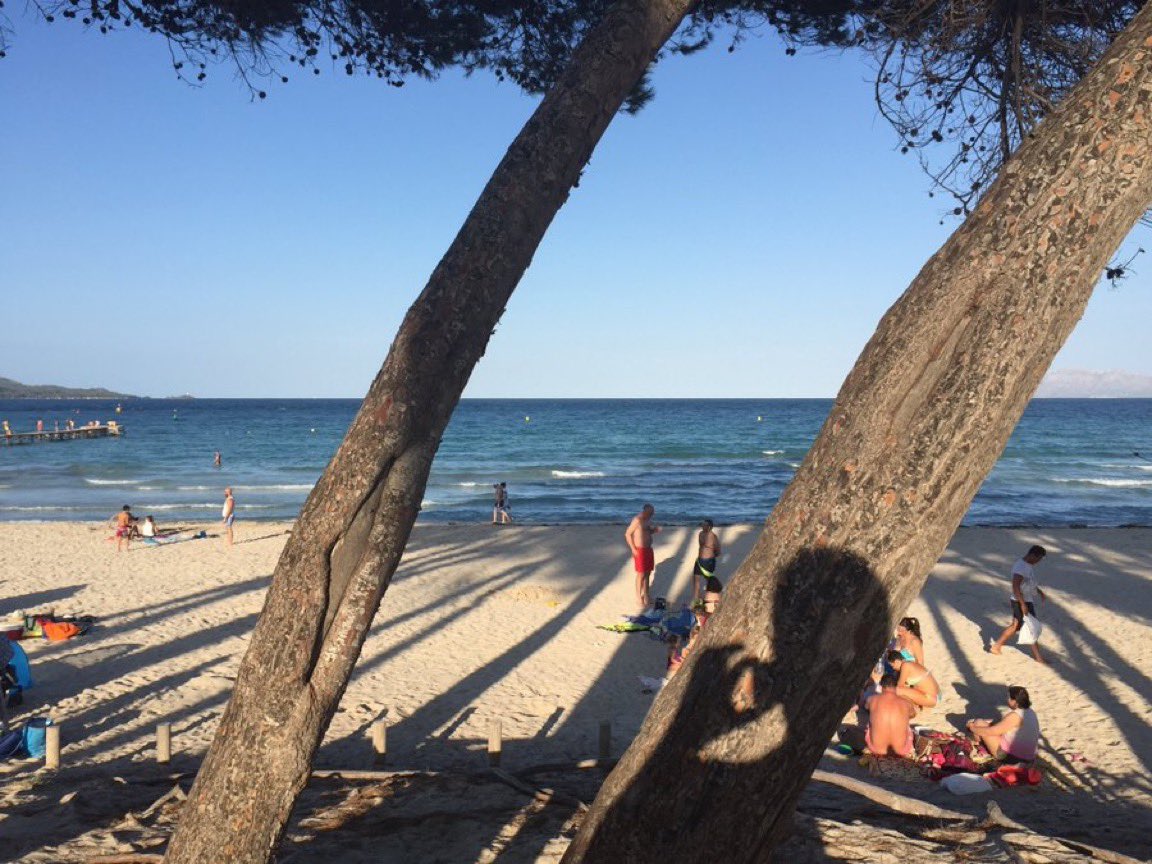 xexu_fernandez's tweet image. Ando de vacaciones desde hace un par de días, en un hotel cerca de la playa. Iba todo bien hasta que han comenzado a suceder cosas raras.