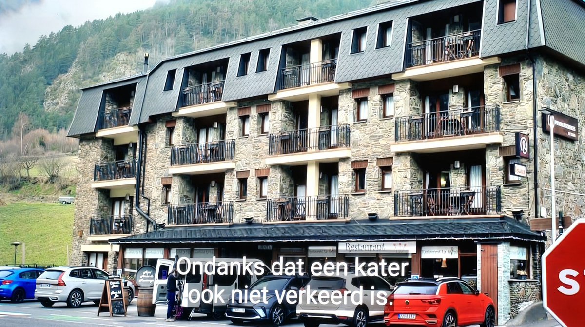Wie vindt het nou leuk om een kater te hebben? 🤔#wintervolliefde
