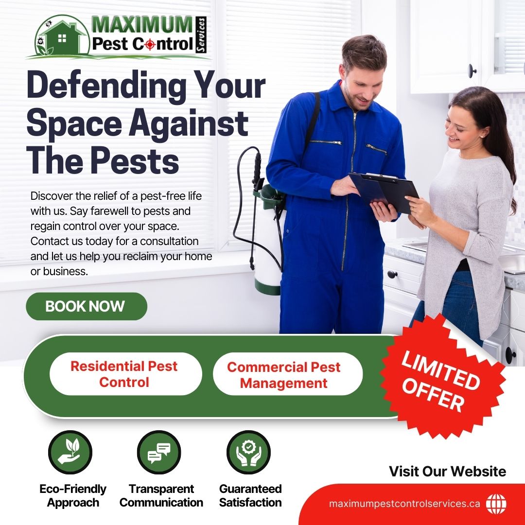 maxipestcontrol's tweet image. Hidden Rodent Highways Inside Homes: How Mice Move Between Walls?
maximumpestcontrol.ca/rodent-control…
#pestcontrol  #dtoakville #DowntownOakville #burlingtonontario #MiltonON
