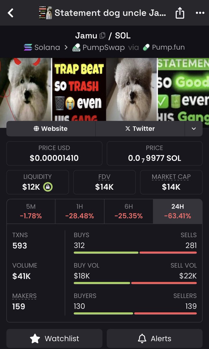 A undervalued TikTok dog