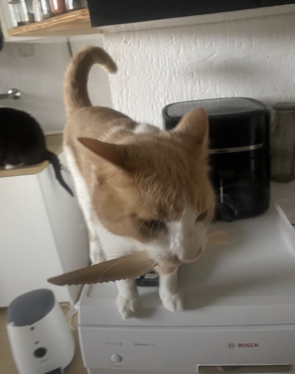 When food is served too late