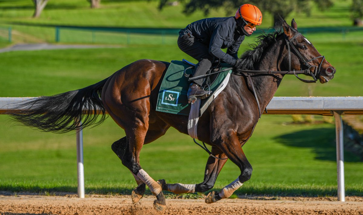 Robert Yates tweet media