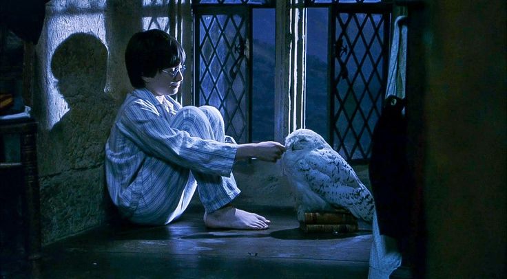 quellochefam4le's tweet photo. edvige che muore per simboleggiare la fine dell'infanzia di harry mi farà sempre piangere io ve lo giuro 💔 #HarryPotter https://t.co/sRa0WzwDmO