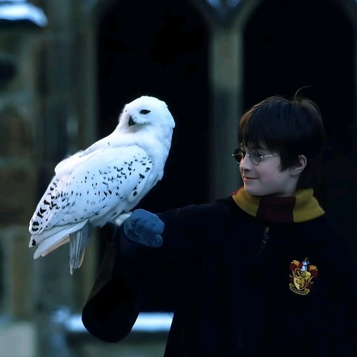 quellochefam4le's tweet photo. edvige che muore per simboleggiare la fine dell'infanzia di harry mi farà sempre piangere io ve lo giuro 💔 #HarryPotter https://t.co/sRa0WzwDmO