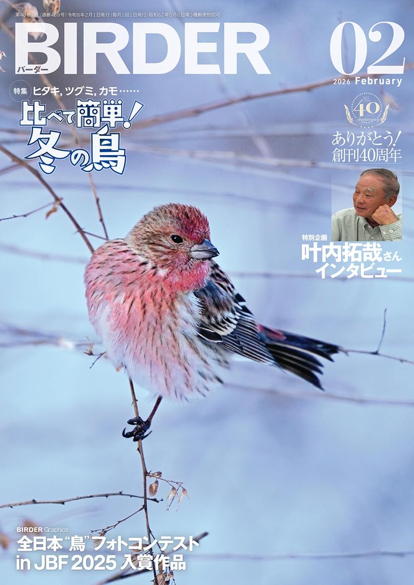BIRDER』@BunichiSS 2月号、本日発売。