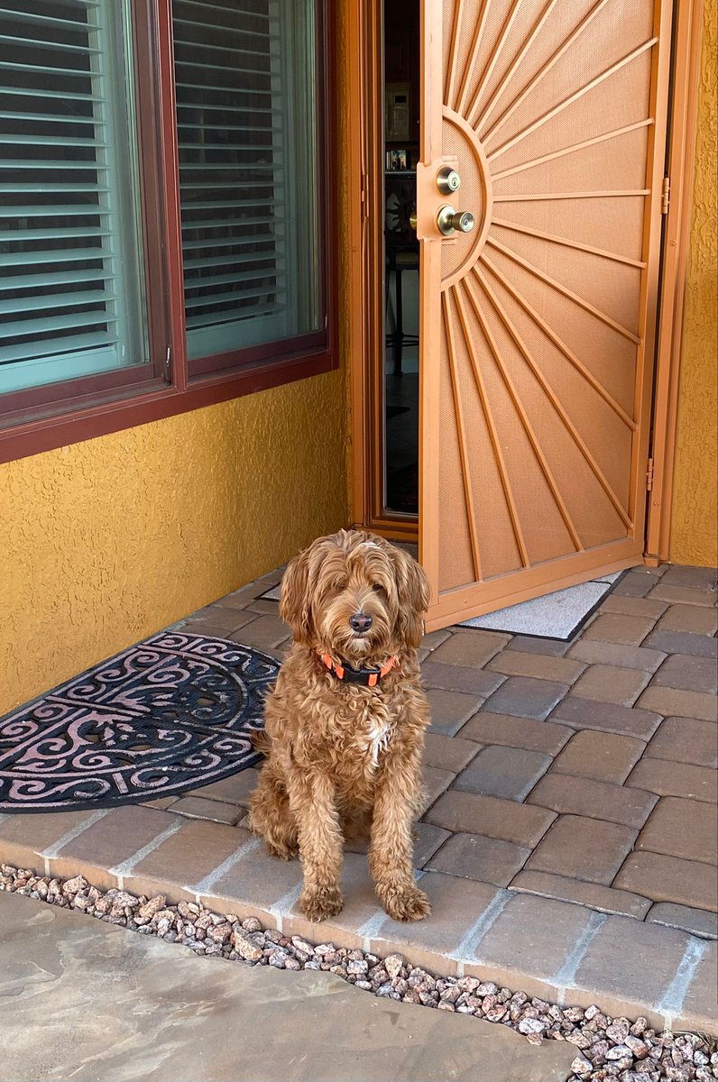 maryanne_pope's tweet image. Dog-sitting and house-sitting in Tucson, with time to write until my heart is full. Life is good.🫶🐕✍️

#amwriting #dogsitter #Tucson #blessed