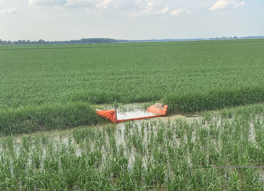 Mike Hamilton tweet media