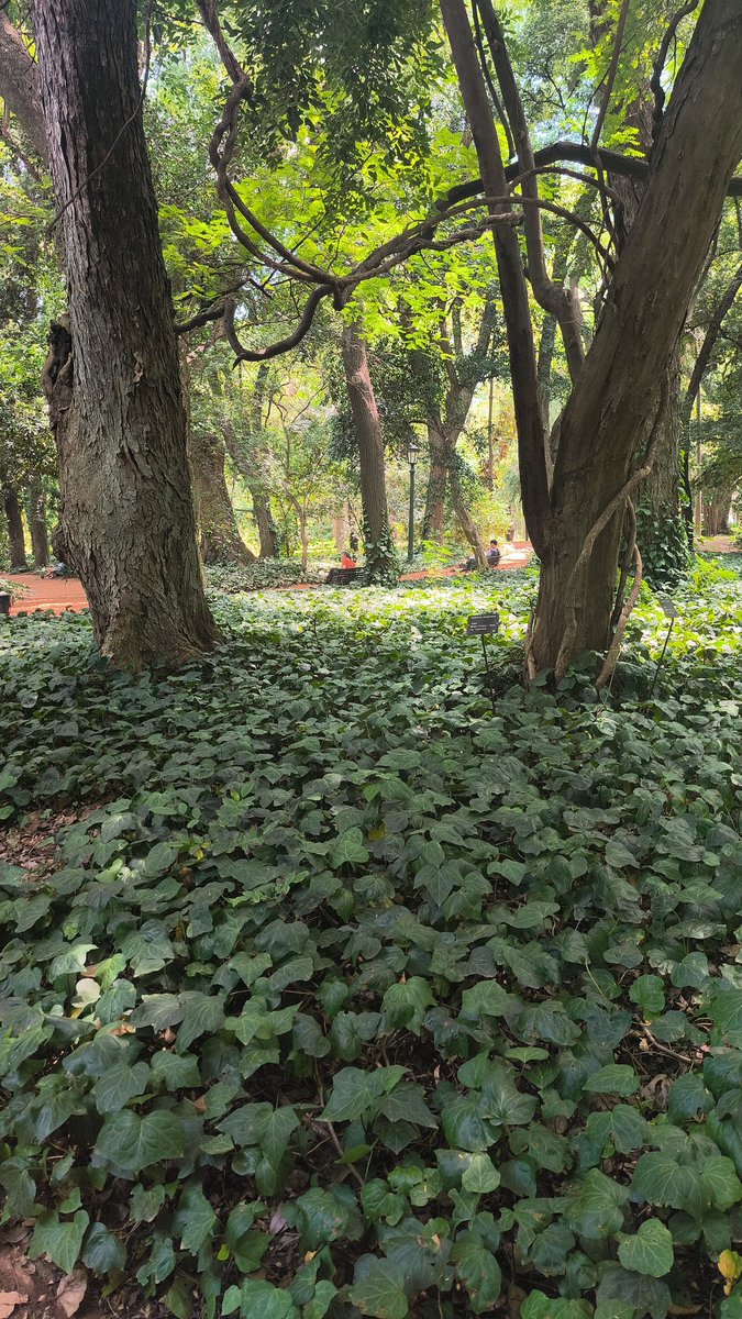 El de naranja es Skay en el botánico. Fui a saludarlo. Me le largué a llorar. Le dije feliz cumpleaños. Se emocionó. Un buen día. Gracias, flaco. Sos hermoso.