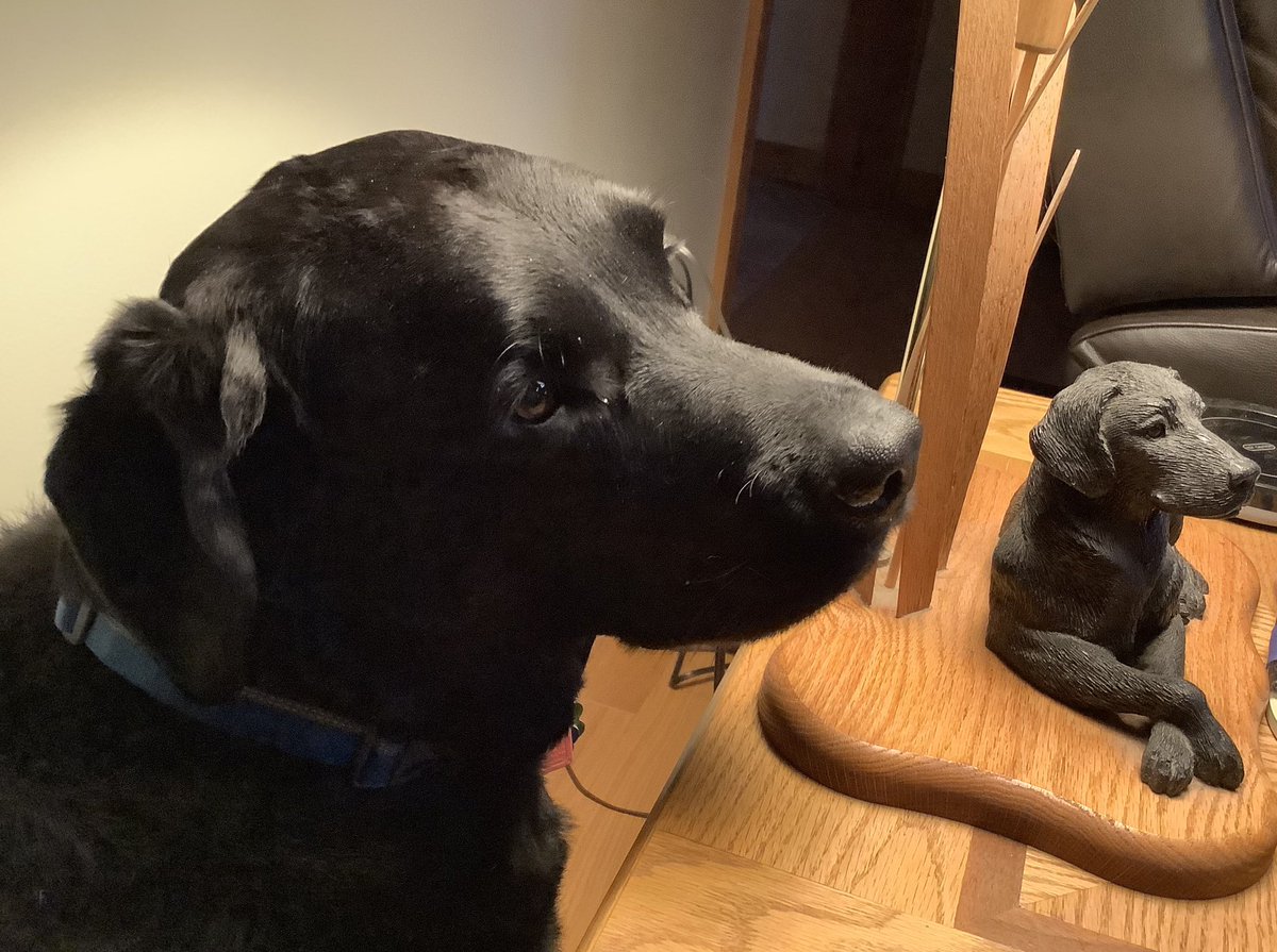 I like to squeeze behind mommy’s chair and table to pose with my lamp. # hooligansquad
