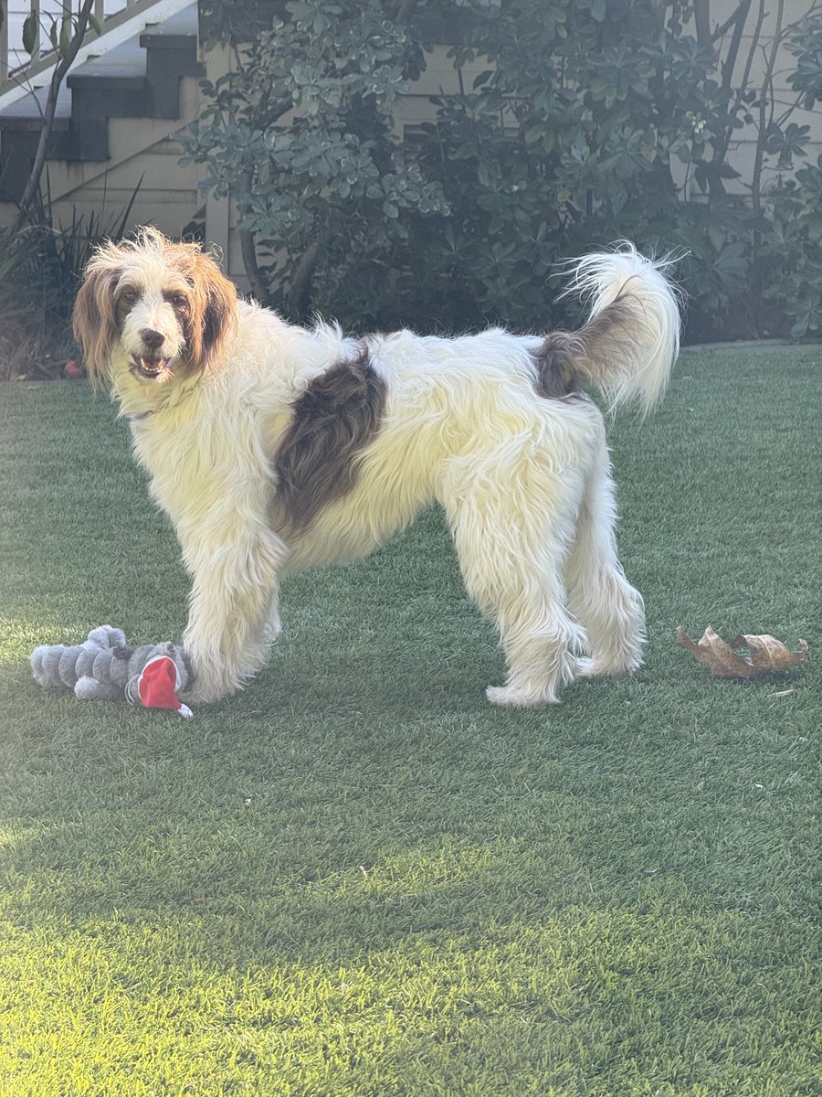 Henry Winkler tweet media