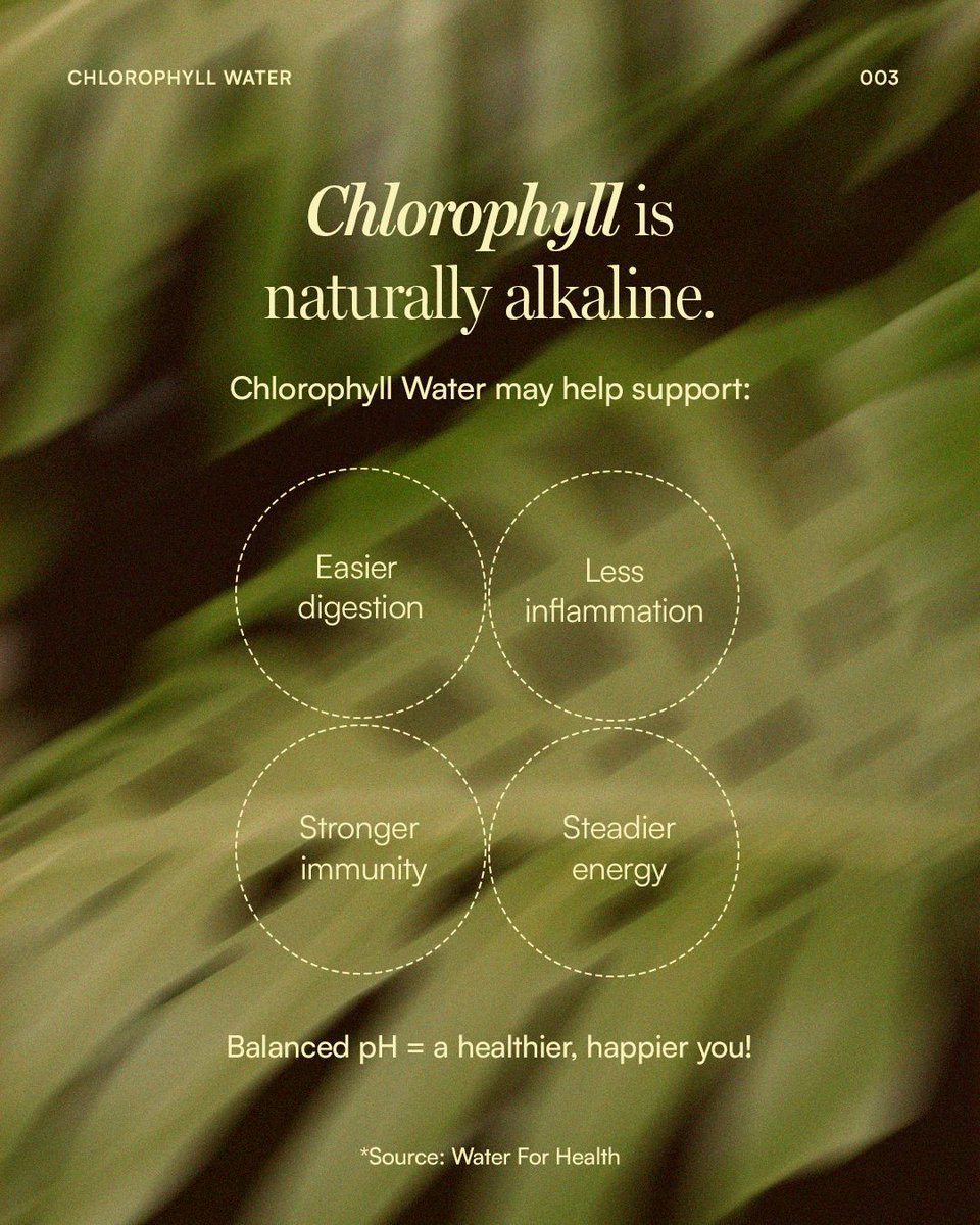 Swipe to learn how Chlorophyll Water helps support your digestion, immunity, and overall health!

No extreme detoxes, no harsh routines. Just Chlorophyll Water.

Sip smarter at ChlorophyllWater.com 🌱"