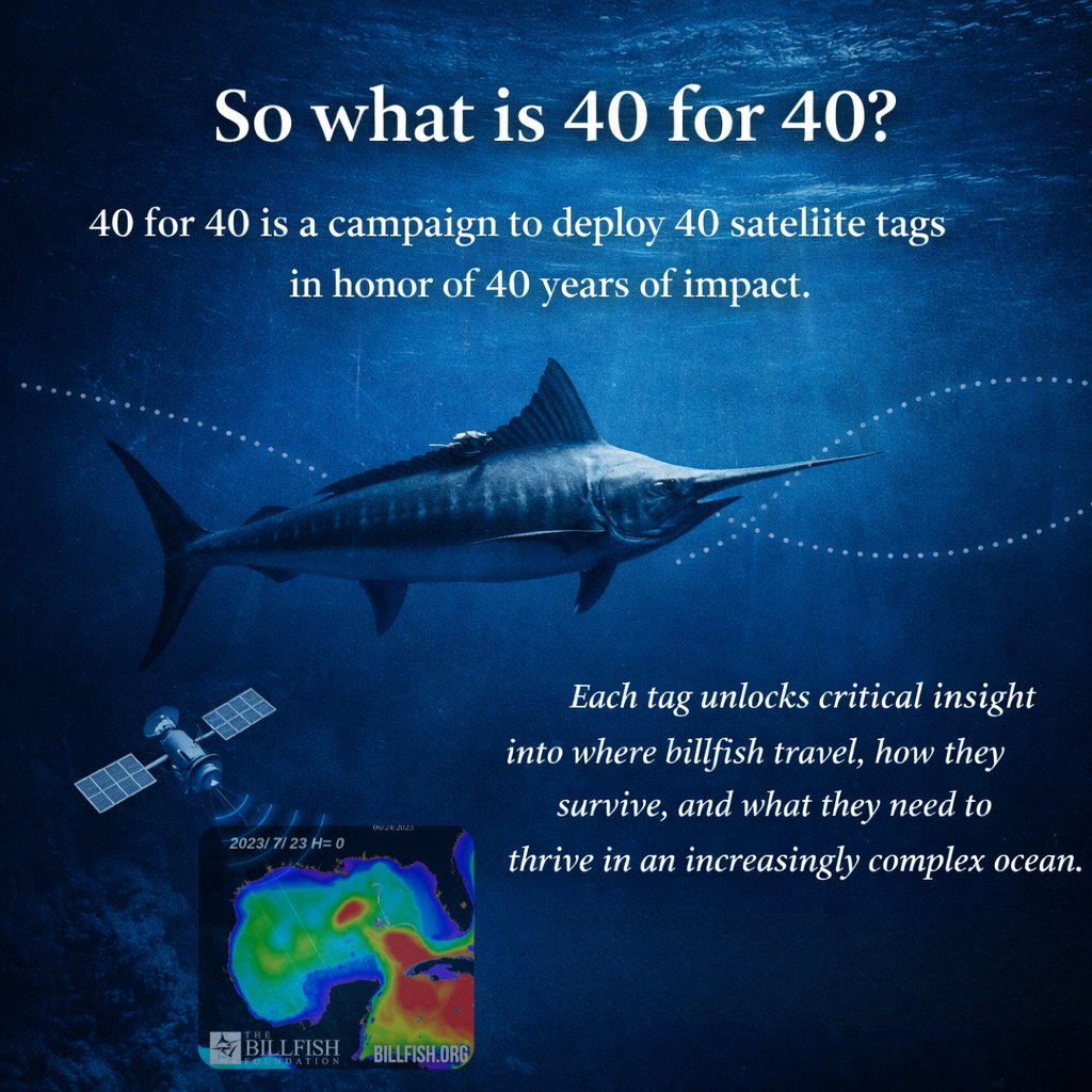 The Billfish Foundation tweet media