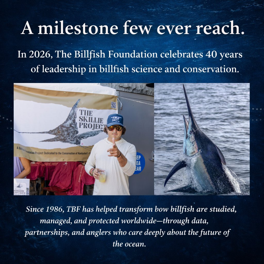 The Billfish Foundation tweet media