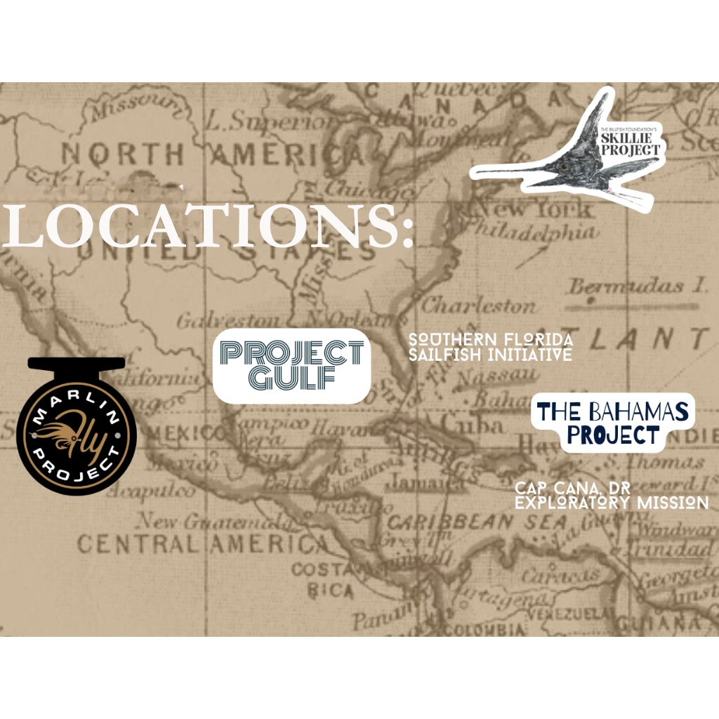 The Billfish Foundation tweet media