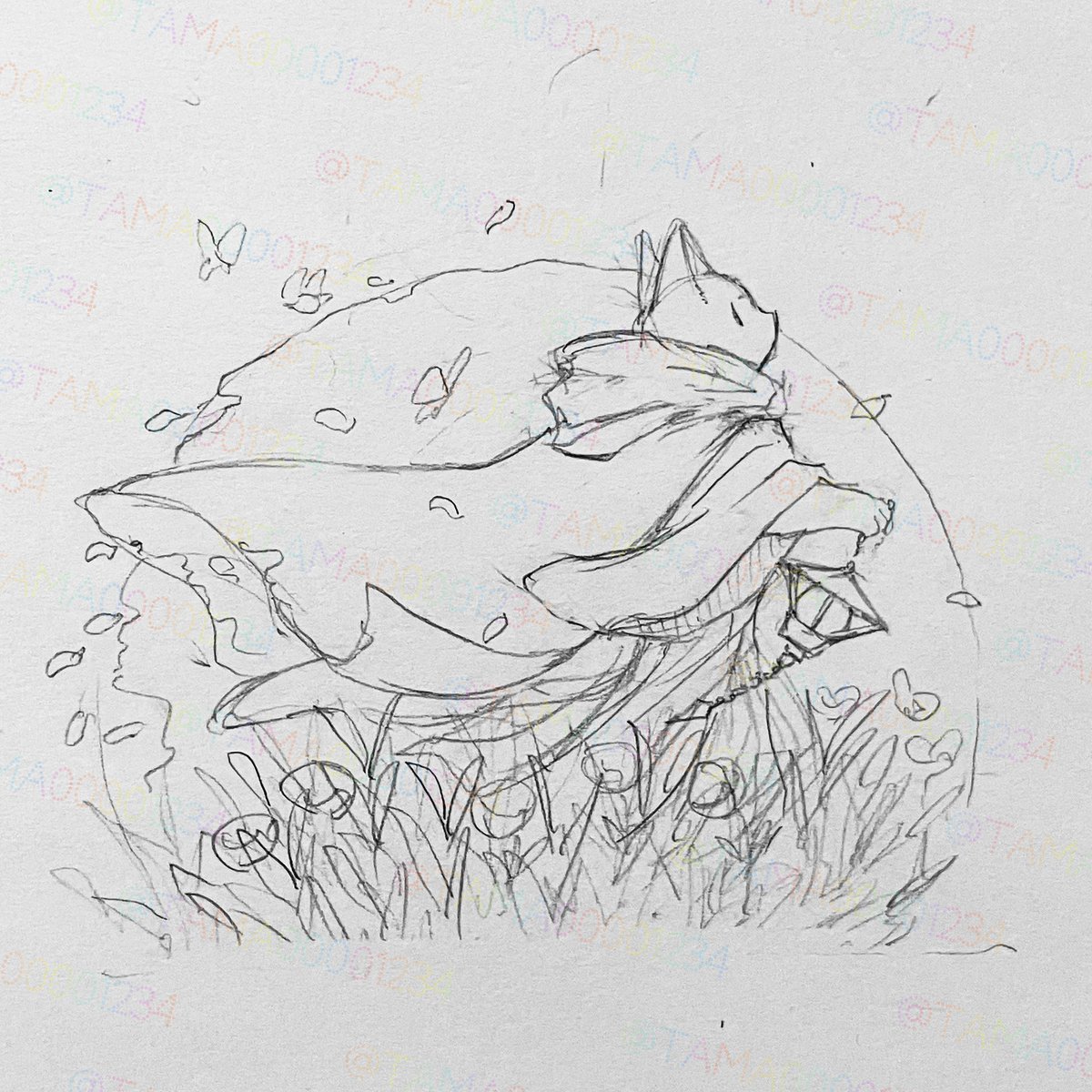 tamaページです＊ tama (@tama00001234) on X