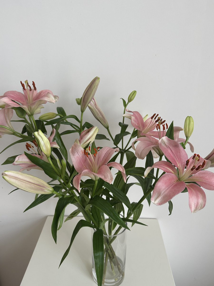 ihpcwx's tweet image. DAY1                                             DAY5