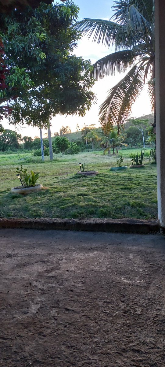 fernandolima281's tweet image. Boa tarde 🙌🏽