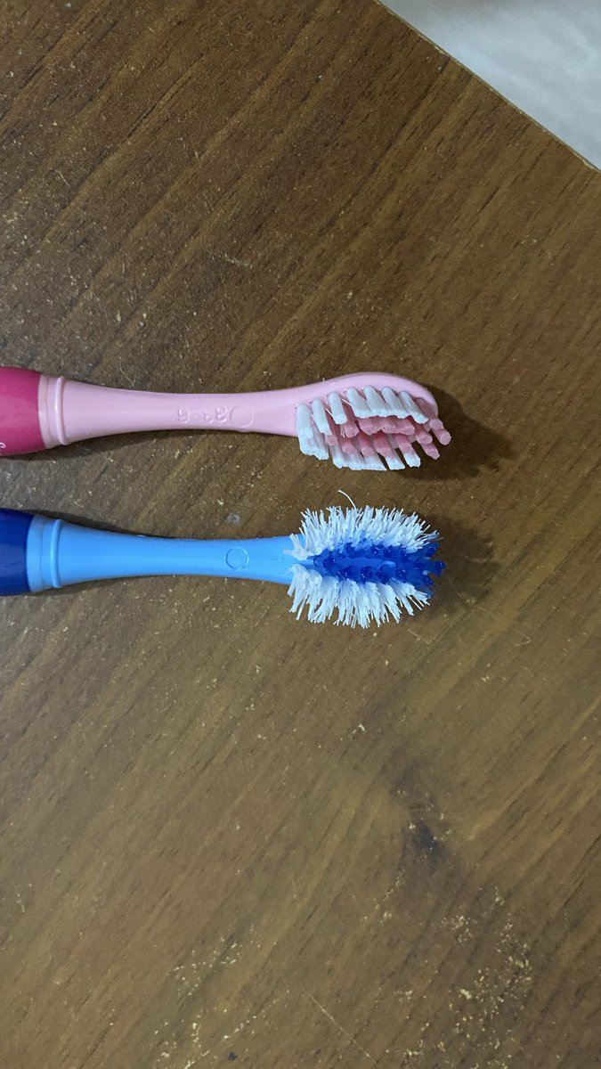 Ebru Akgül tweet media