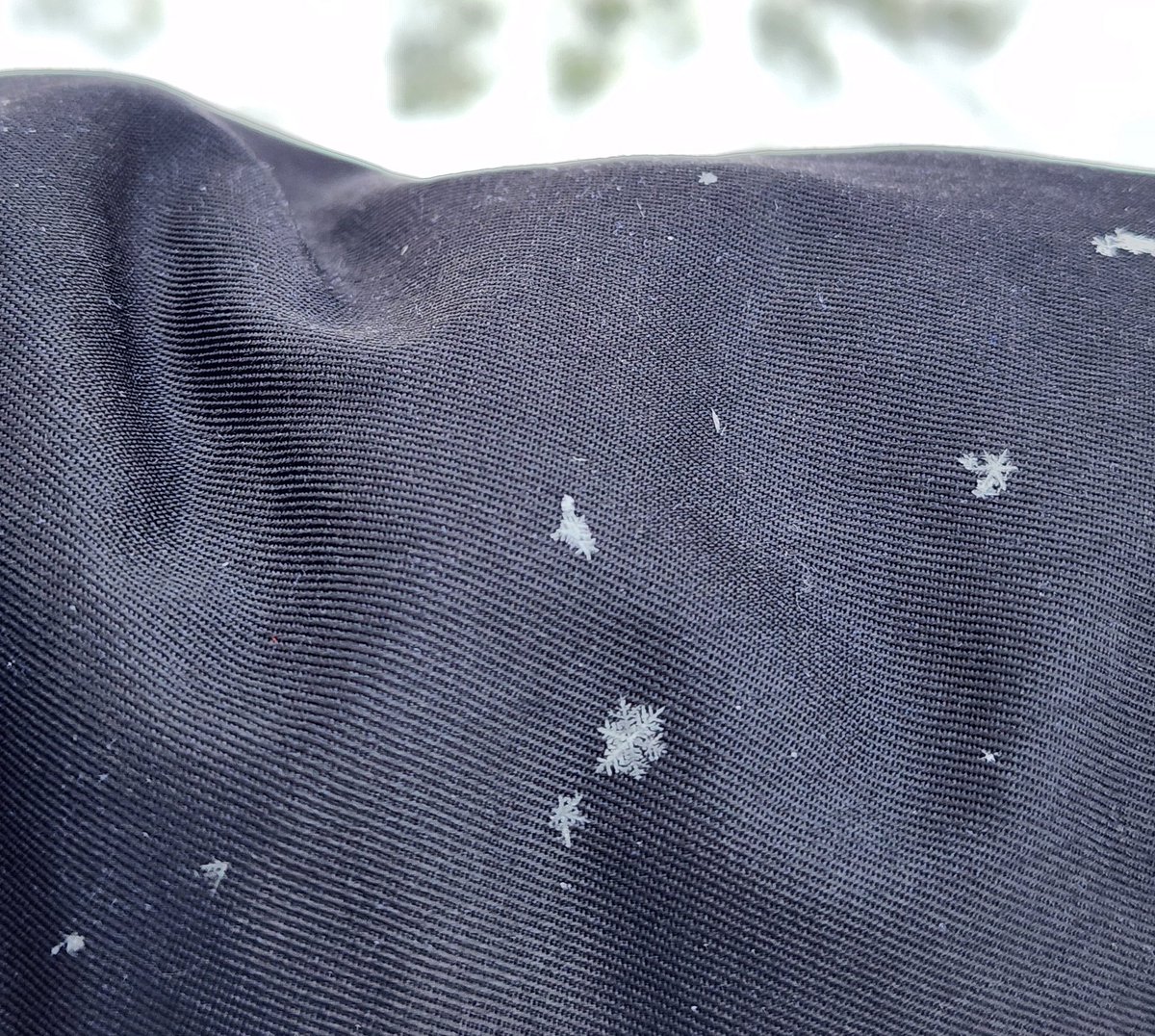 RubySunset5's tweet image. Perfect little snowflake on my sleeve