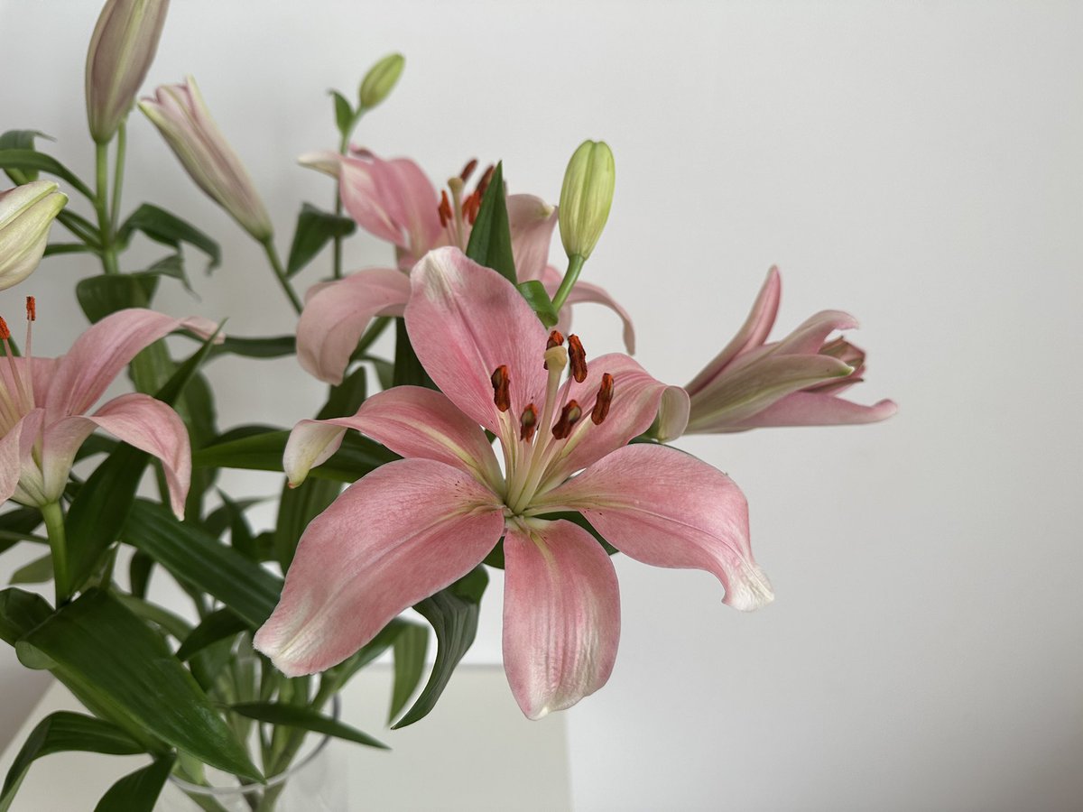 ihpcwx's tweet image. 