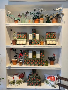 LunaBloom4100's tweet photo. Where nature meets fragrance 💚 every corner tells a story of calm and beauty. https://t.co/vQtBNk6Hrk