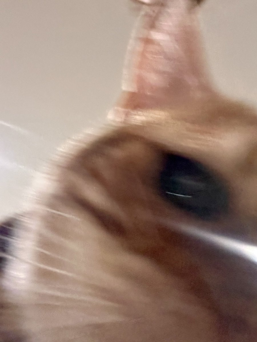 Kiersten Warren tweet media