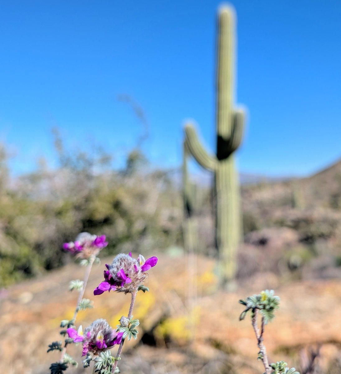 Kyle Field tweet media
