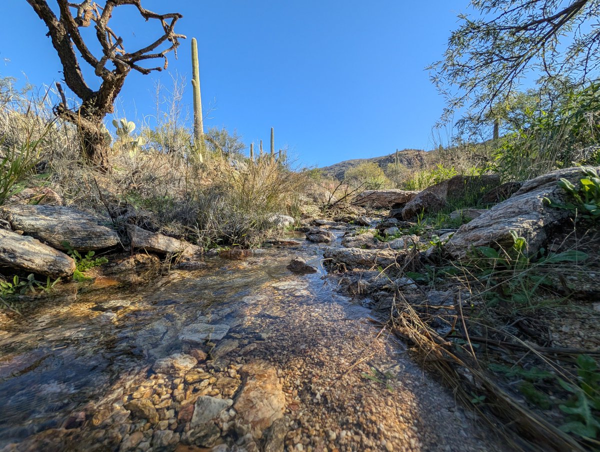 Kyle Field tweet media