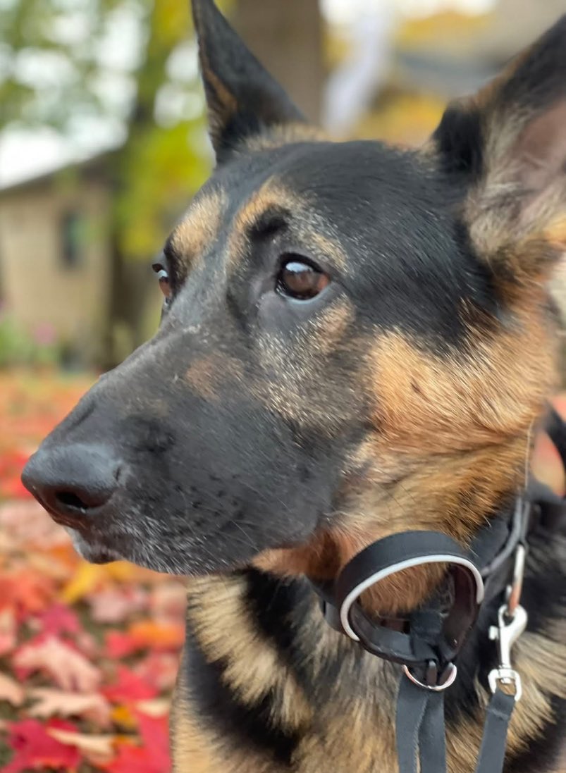 Kevin Brauch tweet media