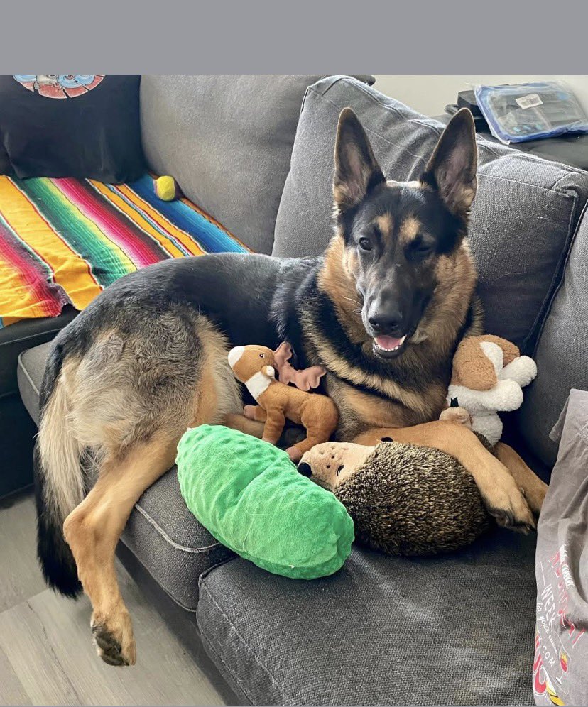 Kevin Brauch tweet media