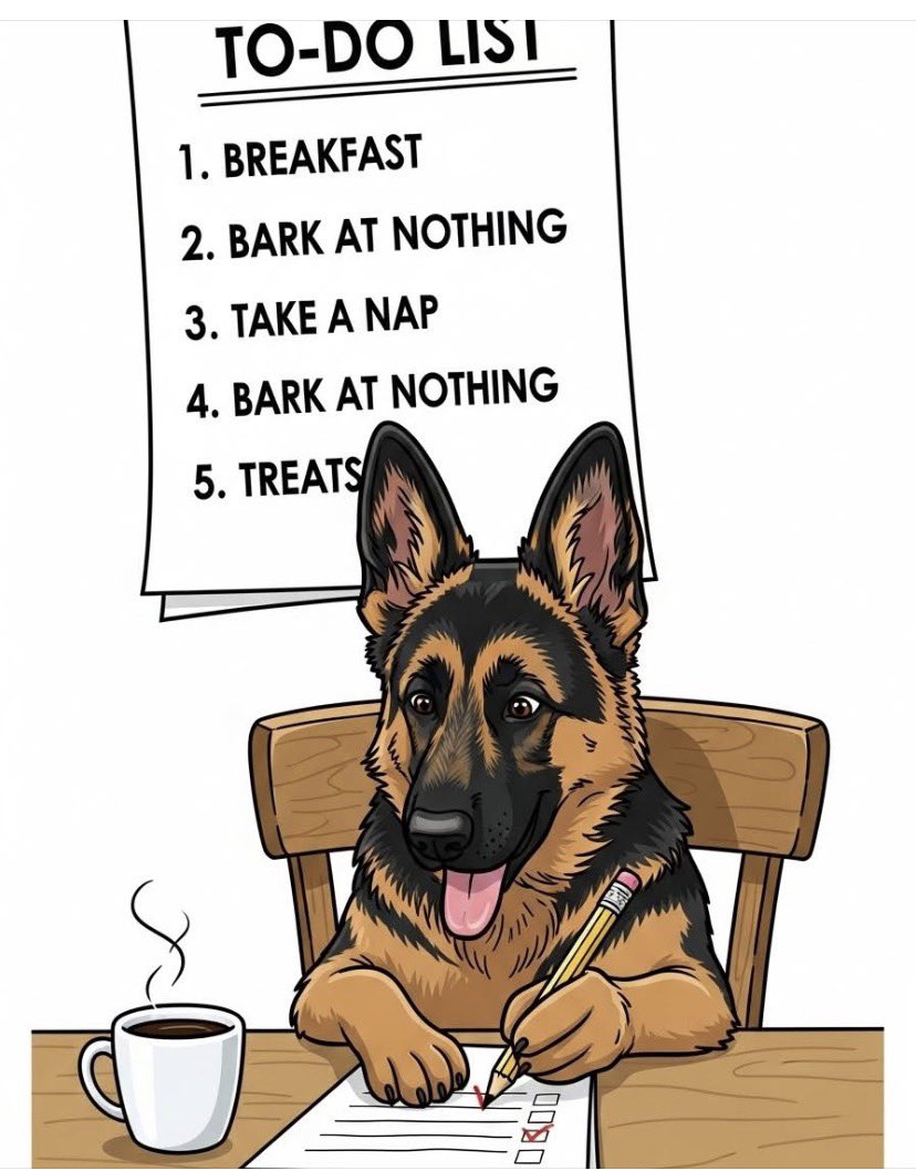 Kevin Brauch tweet media