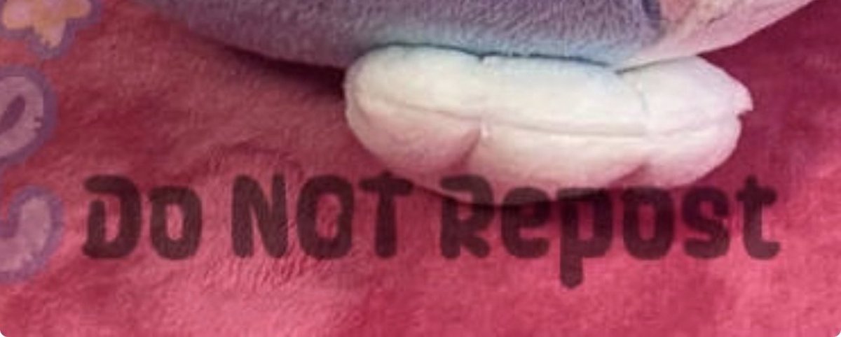 Zomb ☆ tweet media