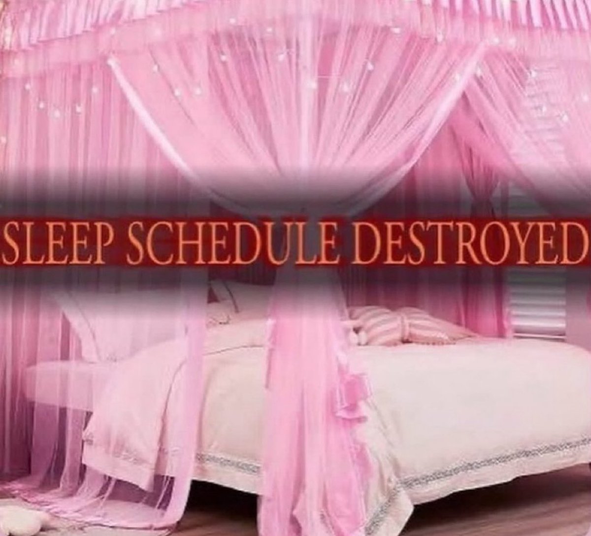 L8 | greerishere ♡ tweet media