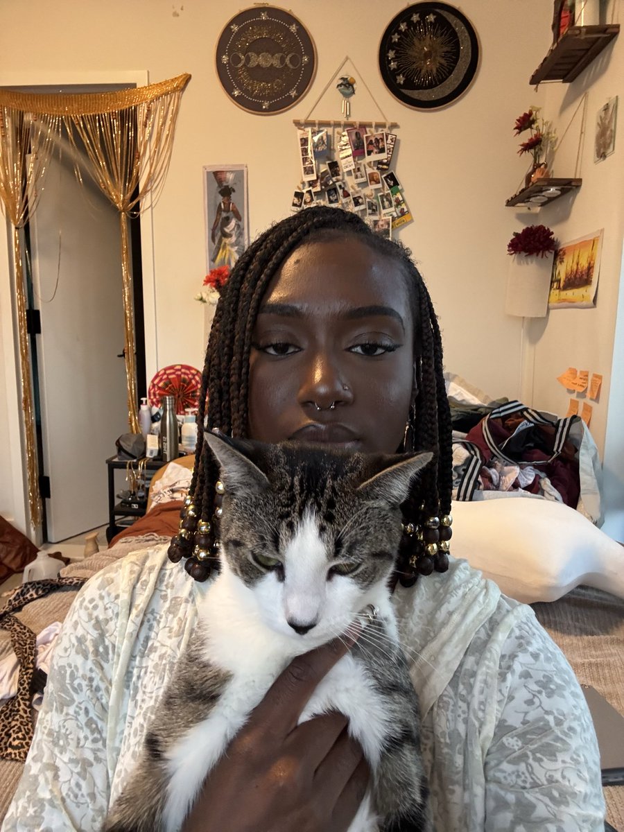 Constantly having a mug-off with my cat