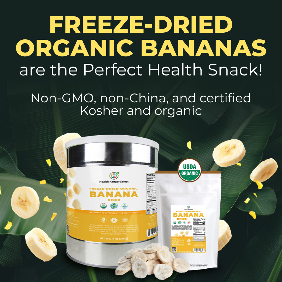 GroovyBeeReal's tweet photo. Fuel Your Day with Groovy Bee Organic Coconut Milk Powder
🛒Shop now at Groovy Bee Store
https://t.co/CgauehLskD
#coconut #milkpowder #nonChina #nonGMO #plantbased #milkalternative #healthyliving #health #organic https://t.co/EwPPAbYVBx