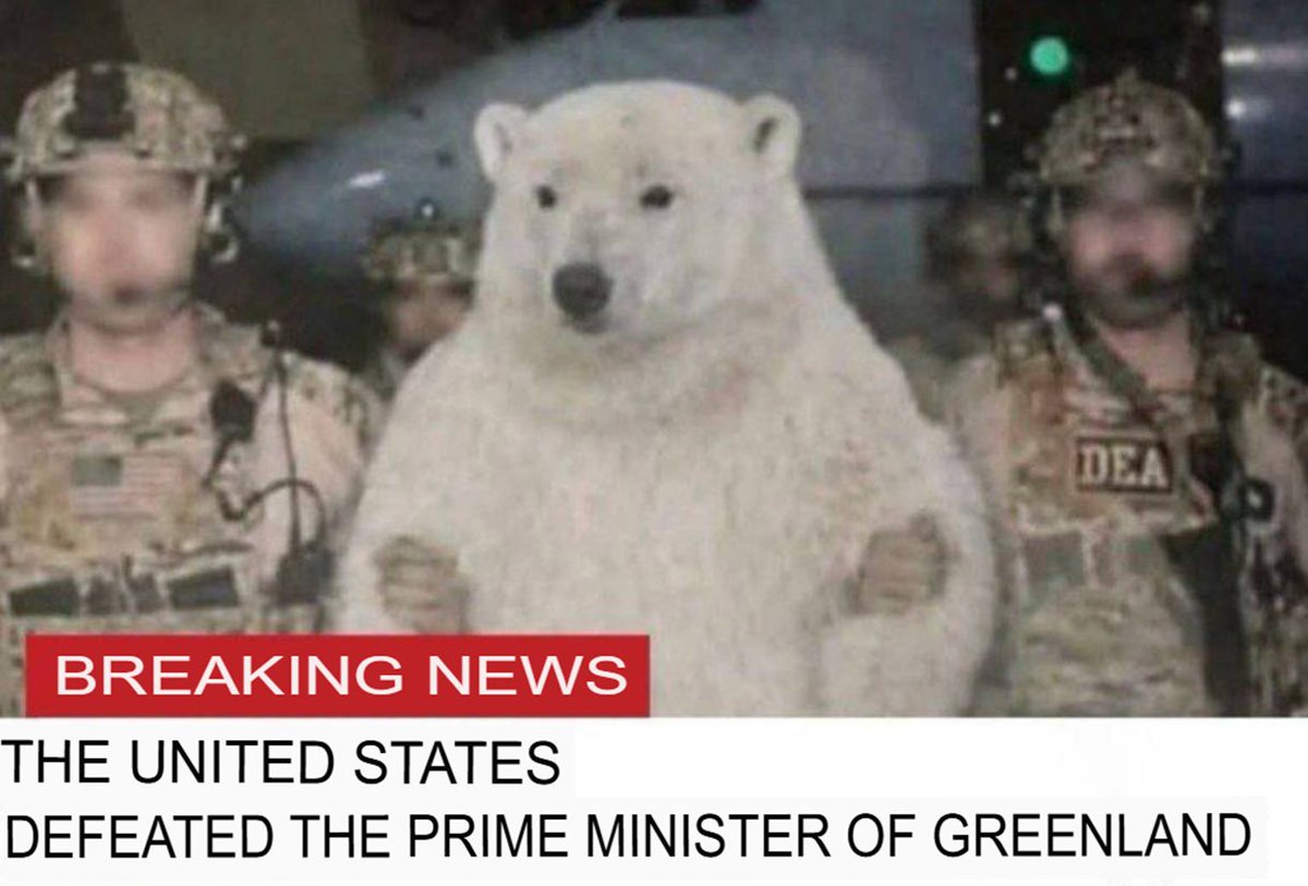 Pandus (Konstantin) tweet media
