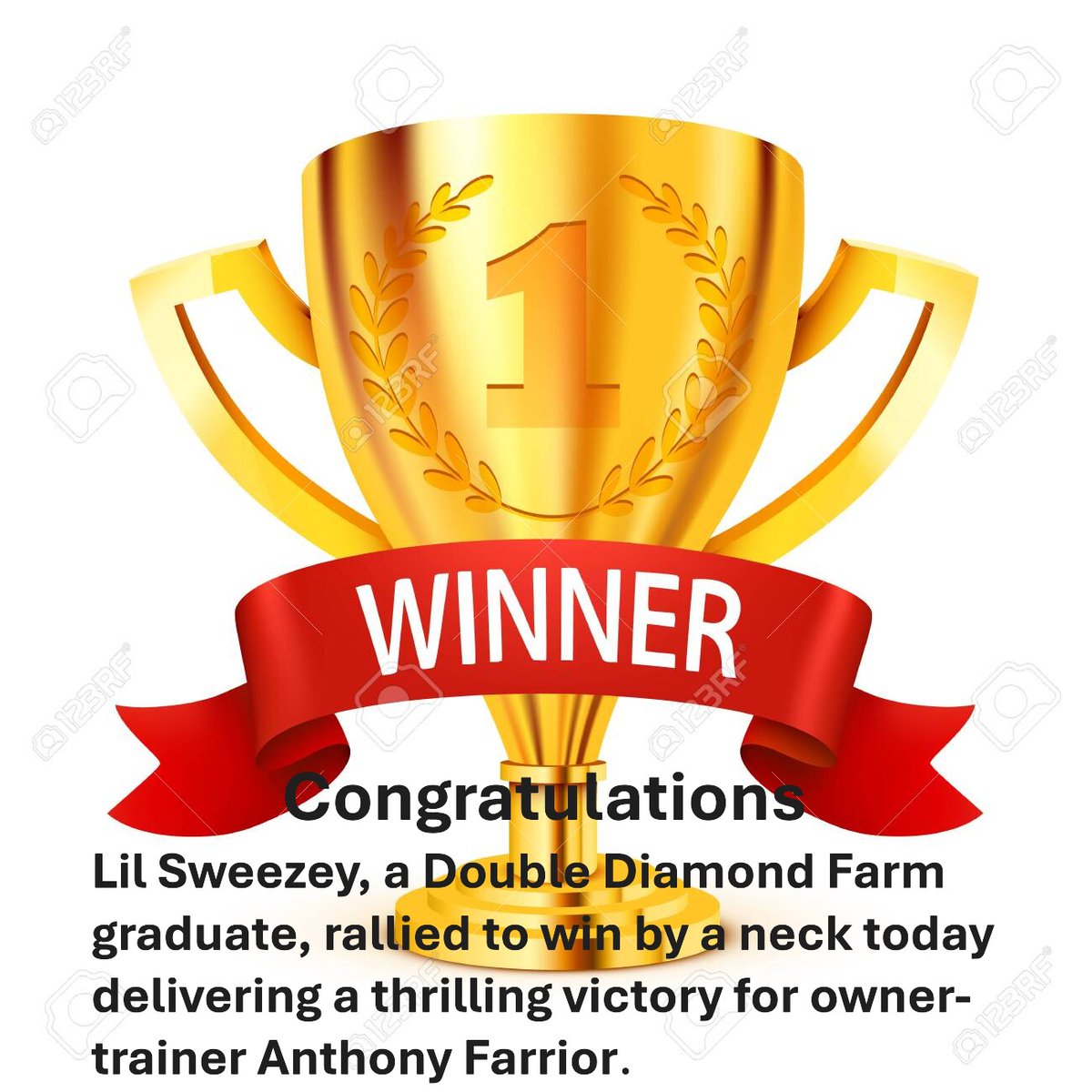 First Dude tweet media