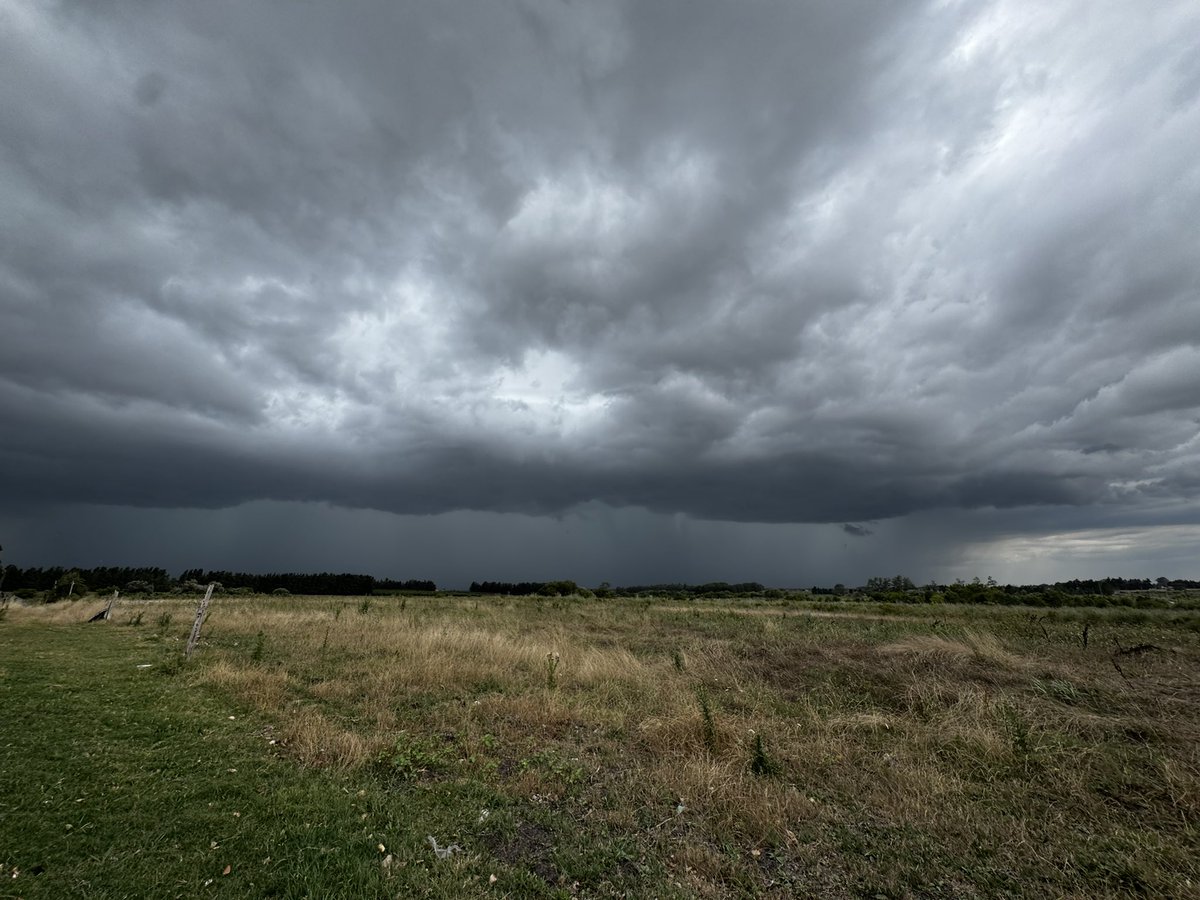 GiRodTort's tweet image. desde Canelones @MatiMederosURU