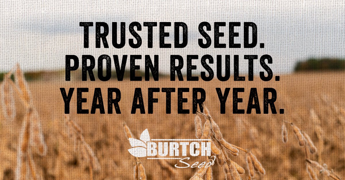 BurtchSeed's tweet photo. Looking ahead to spring planting? Check out our top-performing seeds for 2026. Designed for yield, disease resistance, and to thrive in local conditions. 

#WeDoSeed https://t.co/OMXngIcDex