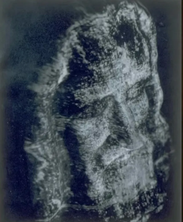 Pildorasdefe's tweet photo. ✅ ¡El Santo Sudario es Real!

La ciencia no puede ni podrá explicar nunca su grabado y que haya permanecido tanto tiempo impreso en esa tela.

En 1988, estudios realizados en la Universidad de Arizona, la Universidad de Oxford y el Instituto Federal Suizo de Tecnología llevaron a cabo la prueba de carbono 14 (C-14), pero resultó ser una prueba no válida

Ellos cortaron una pequeña muestra del Sudario, de unos 3 por 6 centímetros, de la esquina de la tela.

Se analizaron cuidadosamente las muestras para determinar el contenido de carbono y la cantidad de carbono 14 que quedaba. Como resultado, ellos indicaron que databa supuestamente de los siglos XIII y XIV (1260 a 1390 d. C.), lo que sugirieron que se trataba de un engaño de la época medieval.

Pero lo que en realidad sucedió es que la muestra tomada para las pruebas estuvo contaminada a lo largo de los siglos.

✅ ¿Por qué esa prueba no fue válida?

En el Congreso Mundial Sindone 2000, celebrado en Italia, investigadores independientes del Sudario, Joseph Marino y Sue Benford, presentaron un trabajo que abordaba la cuestión del C-14 desde una nueva perspectiva, titulado: "Evidencia de la distorsión de la datación por C-14 del Sudario de Turín debido a reparaciones".

El trabajo sugería que la esquina donde se tomó la muestra había sufrido una reparación previa no documentada y, obviamente, no representaba el resto del lienzo, por lo que no era válido.

Exámenes posteriores revelaron algodón entretejido con lino y un empalme de extremo a extremo en una de las muestras.

También se encontraron indicios de una goma y un tinte aplicados intencionalmente a la superficie de las fibras, aparentemente en un intento de igualar el color de la zona retejida con el del resto de la tela.

✅ Los enigmas del Santo Sudario que la ciencia no puede explicar.

El Sudario de Turín ha sido el artefacto arqueológico más estudiado de nuestro tiempo; más de 100 investigadores interdisciplinarios han llevado a cabo investigaciones primarias sobre él.

Los científicos tienen una fascinación por este Santo Sudario, debido a que nadie puede explicar cómo hay una imagen molecular incrustada en esa tela.

A principios de los años 80, los científicos decían que no hay pigmento, ni tinte, ni pintura alguna. ¿Cómo es esto posible? La ciencia no puede explicarlo hasta la fecha.

Lo más fascinante es que el Santo Sudario está lleno de sangre, y aunque esta se filtra por toda la tela, la imagen es solo superficial, por lo que aparece después de la sangre.

✅ Otros hechos que no tienen explicación.

El Santo Sudario ha sobrevivido al menos a dos incendios ( el de 1532 en Chambéry, Francia, y el de 1997 en la Catedral de Turín ) Incluso fue rociado con agua para extinguir las llamas.

Si se tratara de un simple engaño, la imagen se habría degradado considerablemente, especialmente al estar expuesta al agua, pero aun así permanece intacta. ¿Cómo es eso posible?

La ciencia tampoco lo puede explicar.

✅ Nuevos estudios confirman la verdadera fecha.
 
Recientemente, se publicó un nuevo estudio de investigación basado en imágenes WAXS (imágenes espectrales de gran angular).

Para el nuevo estudio, científicos del Instituto de Cristalografía del Consejo Nacional de Investigación de Italia llevaron a cabo el estudio mediante dispersión de rayos X de ángulo ancho (WAXS).

El WAXS es una nueva técnica que mide el envejecimiento natural de la celulosa del lino y lo convierte en tiempo transcurrido desde su fabricación.

La celulosa está formada por largas cadenas de moléculas de azúcar unidas entre sí que se rompen con el paso del tiempo, lo que indica la antigüedad de una prenda o tejido.

✅ ¿Cómo se realizó ese nuevo estudio?

Para datar el sudario, el equipo utilizó parámetros de envejecimiento específicos, como la temperatura y la humedad, que provocan una importante descomposición de la celulosa.

Los investigadores compararon la descomposición de la celulosa en el sudario con la de otros linos hallados en Israel que datan del siglo I.

Los perfiles de los datos eran totalmente compatibles con mediciones análogas obtenidas en una muestra de lino cuya datación, según los registros históricos, se sitúa entre 55 y 74 d.C., hallada en Masada, Israel [la famosa fortaleza de Herodes construida sobre un lecho de roca caliza con vistas al Mar Muerto]», reza el estudio publicado en la revista Heritage.

✅Ahora, en comparación...

(...) Para que el resultado actual sea compatible con el de la prueba de radiocarbono de 1988, la Sábana Santa debería haberse conservado durante sus hipotéticos siete siglos de vida a una temperatura ambiente secular muy próxima a los valores máximos registrados en la Tierra, reza el estudio.

El autor principal, el doctor Liberato De Caro, afirmó en un comunicado que la prueba de 1988 debe considerarse incorrecta porque "las muestras de tejido suelen estar sujetas a todo tipo de contaminación, que no puede eliminarse por completo del espécimen fechado"...

✅ ¿El sudario tiene una imagen tridimensional?

En la década de 1970, un grupo de científicos especializados en armas utilizó un ordenador llamado Analizador de Imágenes VP-8 para analizar fotografías, incluyendo la de uno de sus nietos, que resultaron con el aspecto de una foto típica (nítida pero plana).

Sin embargo, al introducir la imagen del crucificado del Santo Sudario de Turín, la imagen adquirió una calidad topográfica y tridimensional, donde la luz y las sombras realzaban los contornos del rostro y el cuerpo, como si se tratara de un objeto físico, no de una simple fotografía plana.

El analizador de imágenes VP-8 reveló que la imagen del Santo Sudario posee una calidad tridimensional que ninguna fotografía, y mucho menos ningún falsificador medieval podría haber replicado.

Esta topografía no se puede lograr simplemente con pintura ni otras técnicas medievales típicas.

Para recrearla hoy en día, se necesitaría un cuerpo real para lograr la superposición precisa, sobre todo considerando la perfecta alineación de la imagen con los contornos del rostro y el cuerpo de la persona.

✅ ¿Cómo se sabe que la figura del sudario había sufrido mucho?

Un estudio hematológico detectó altos niveles de bilirrubina en la sangre del Santo Sudario, una reacción desencadenada por un trauma extremo.

Esto explica por qué la sangre permaneció roja en lugar de oscurecerse con el tiempo.

Asimismo, en un informe hematológico más reciente, se examinó la evidencia de sangre en el Santo Sudario e identificaron partículas de hemoglobina y creatinina compatibles con un traumatismo grave y una lesión muscular.

El Santo Sudario de Turín es real, y es la imagen de Cristo mismo.

!Viva Cristo Rey! 👑