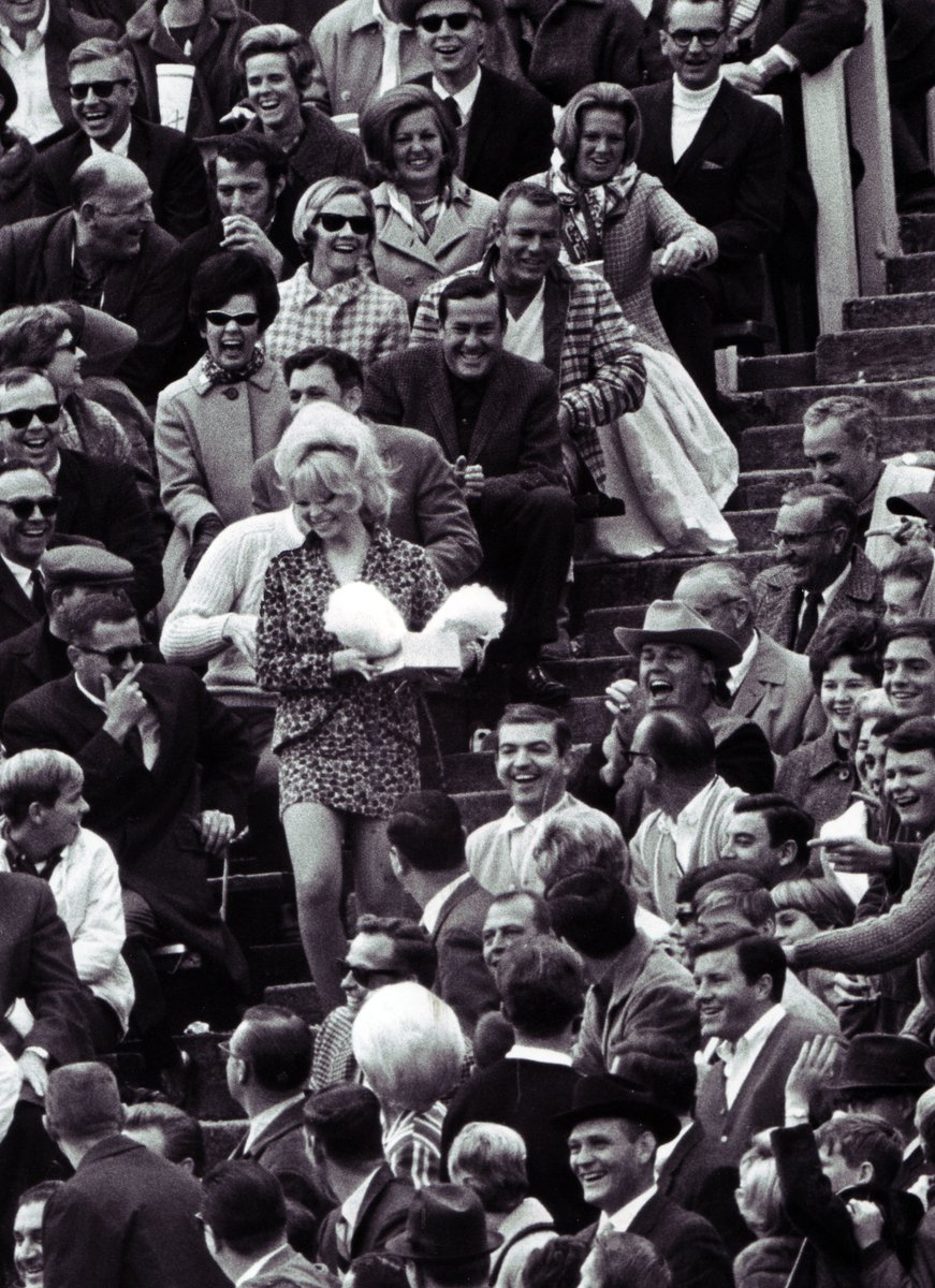 Dave Lieber, CSP tweet media