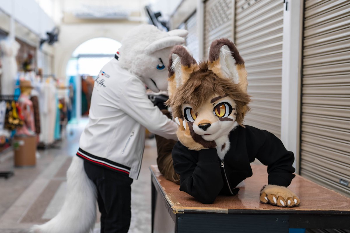 Your back is stiff, sir <a href="/luxury_gin/">Scooter</a> 

📷 <a href="/Hinokami_Akira/">Hinokami Akira</a>

#FursuitEveryday 
#fursuit #fursuiter #whitewolf #หมาขาว