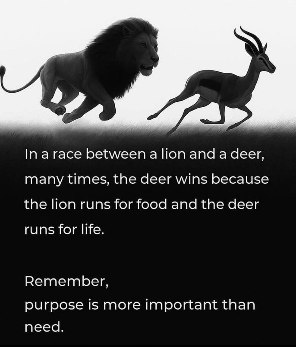 lawofthoughts's tweet photo. https://t.co/s3SZy8YPJ4