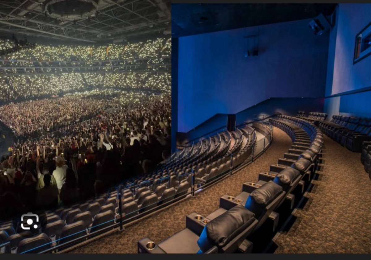 connie cotton(wood) ⊬ tweet media