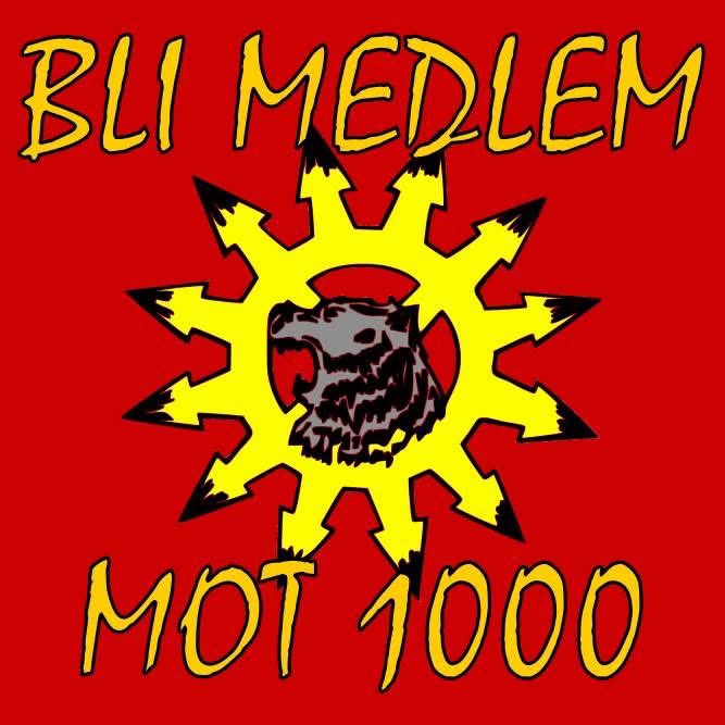 LuleåFans tweet media